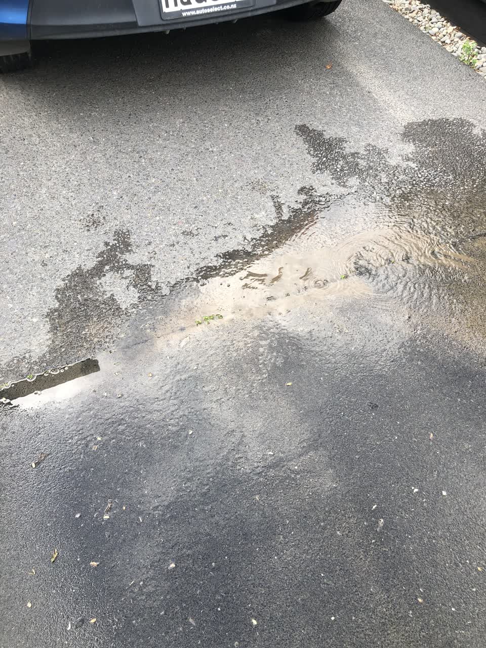 The photograph attached to this water leak report