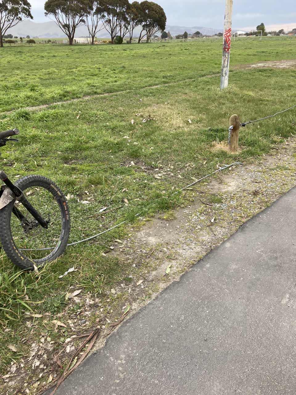 The photograph attached to this parks report