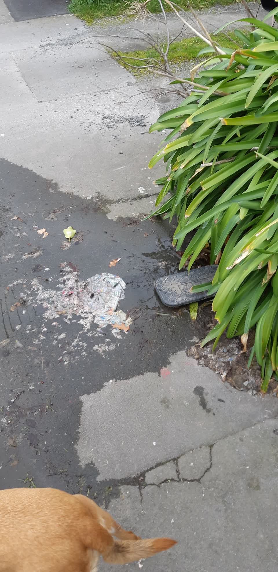 The photograph attached to this water leak report