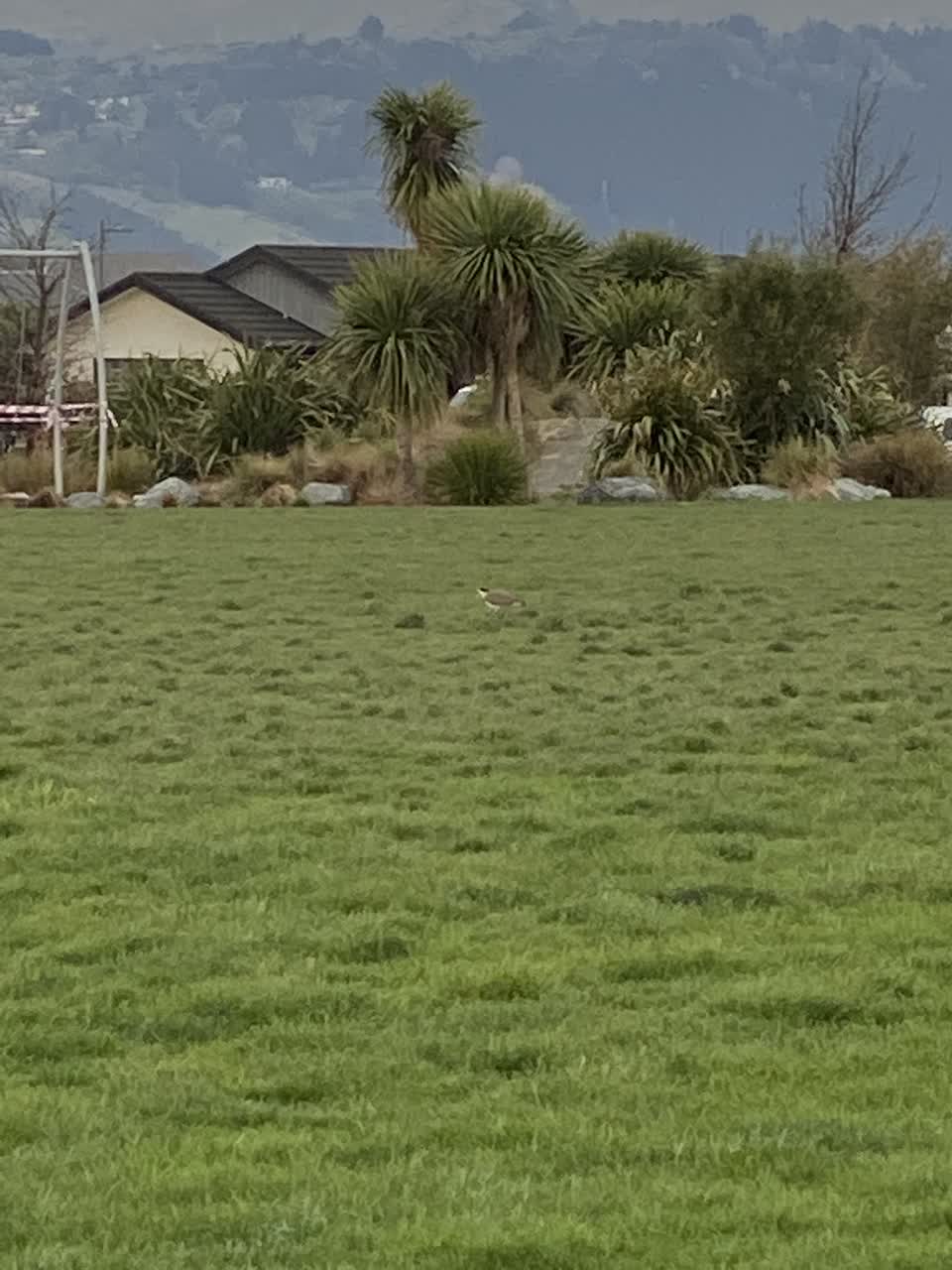 The photograph attached to this parks report