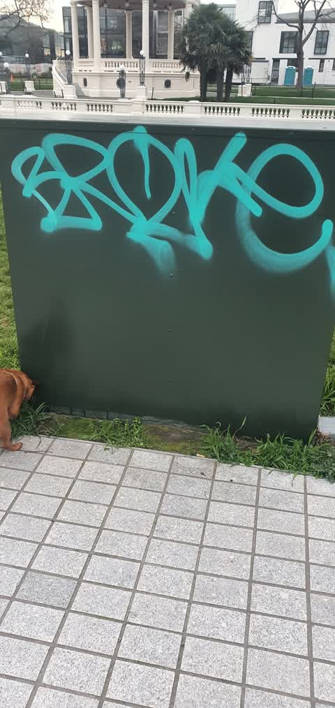 Graffiti, a report photo