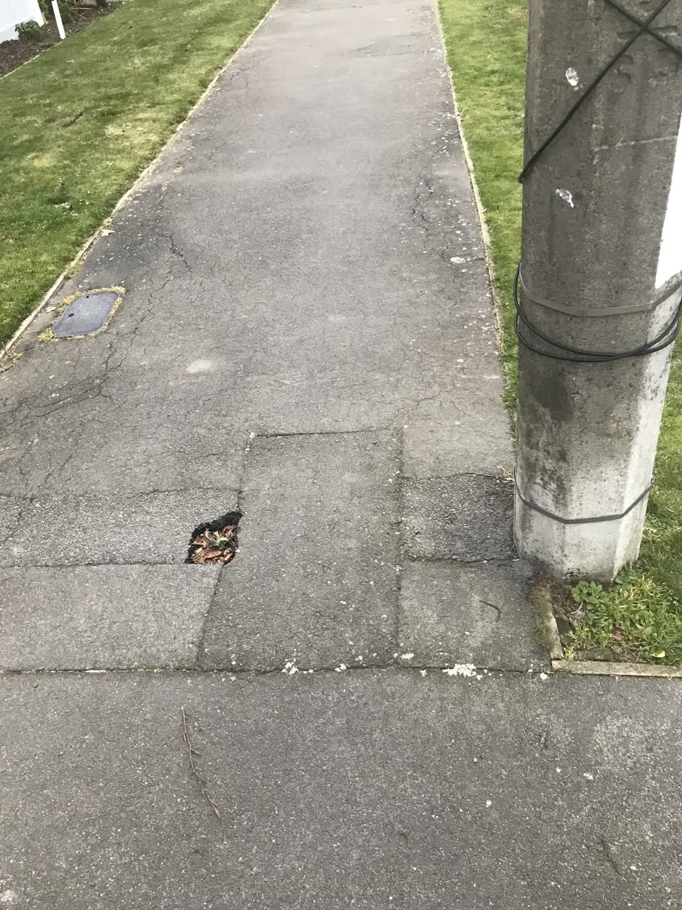 The photograph attached to this roading/streets report
