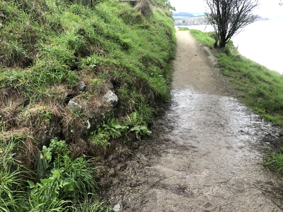 The photograph attached to this water leak report