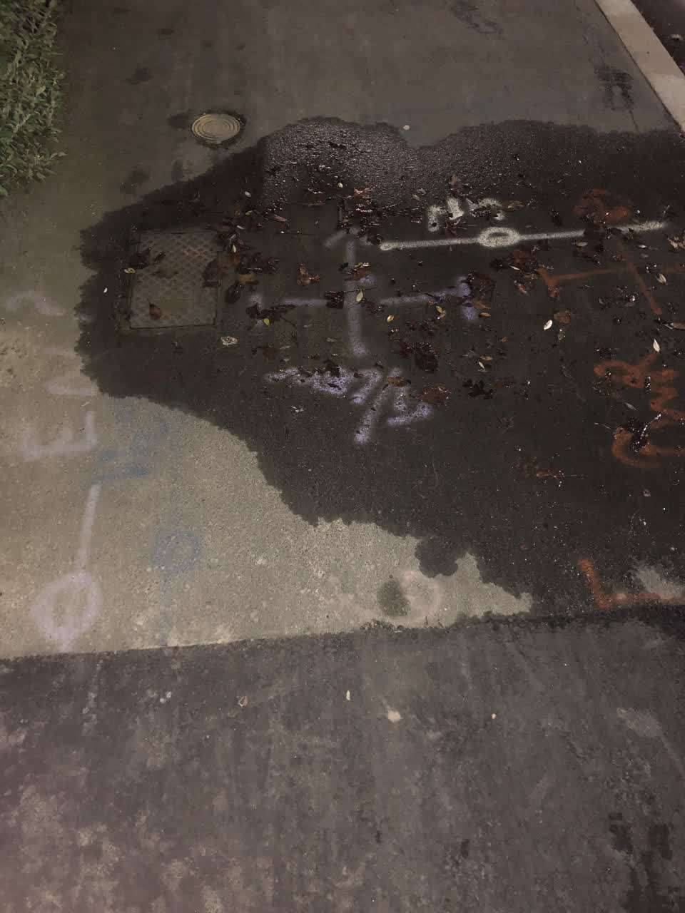 The photograph attached to this water leak report