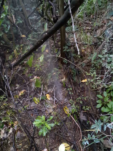 Water Leak, a report photo