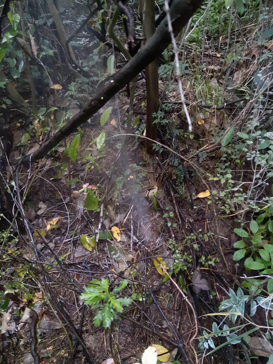 The photograph attached to this water leak report
