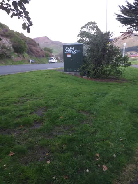 Graffiti, a report photo