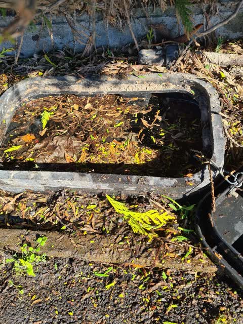 Water Leak, a report photo