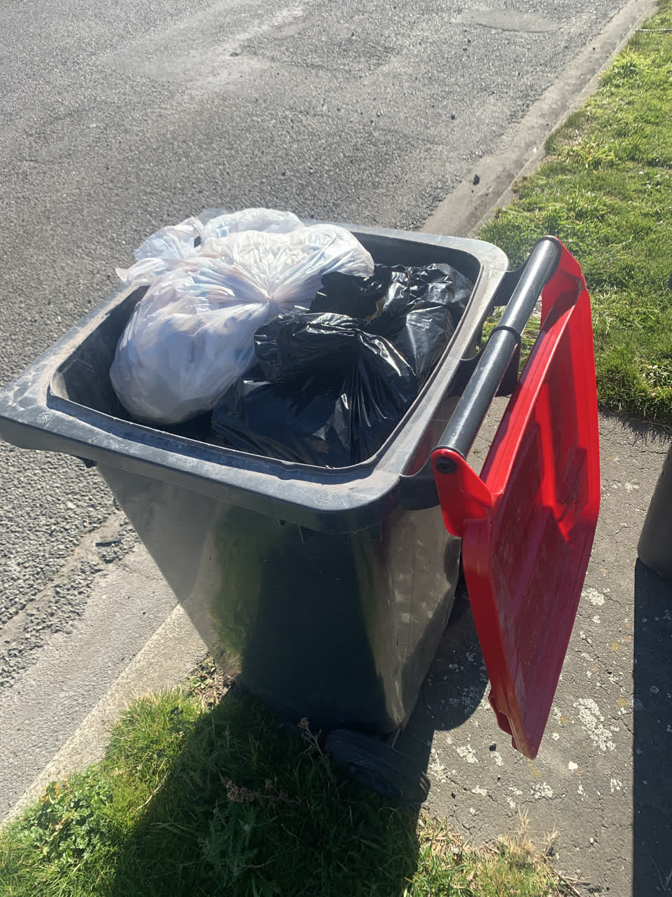 The photograph attached to this rubbish/recycling report