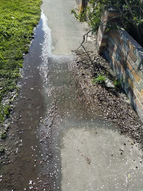 Water Leak, a report photo