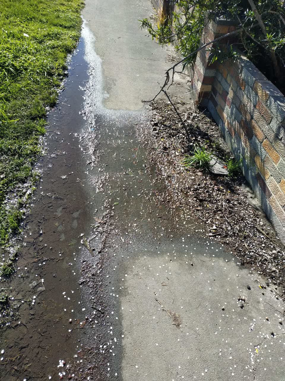 The photograph attached to this water leak report