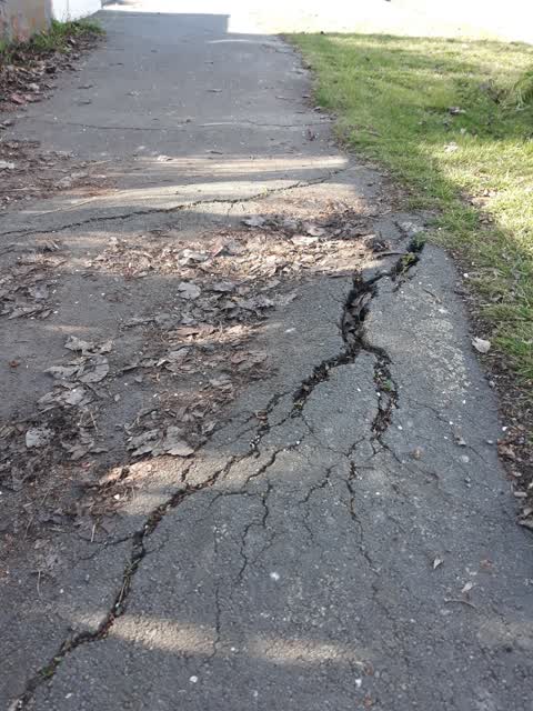 Roading/Streets, a report photo