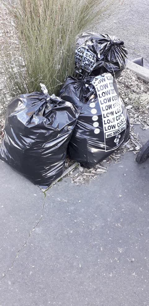 Rubbish/Recycling, a report photo
