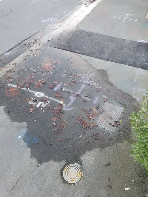 Water Leak, a report photo