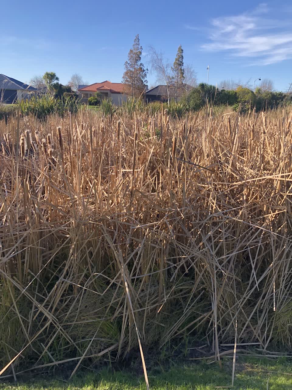 The photograph attached to this wastewater/stormwater report