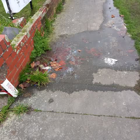Water Leak, a report photo