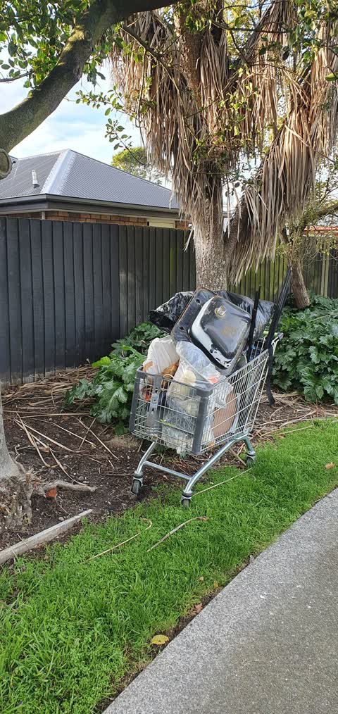 Rubbish/Recycling, a report photo