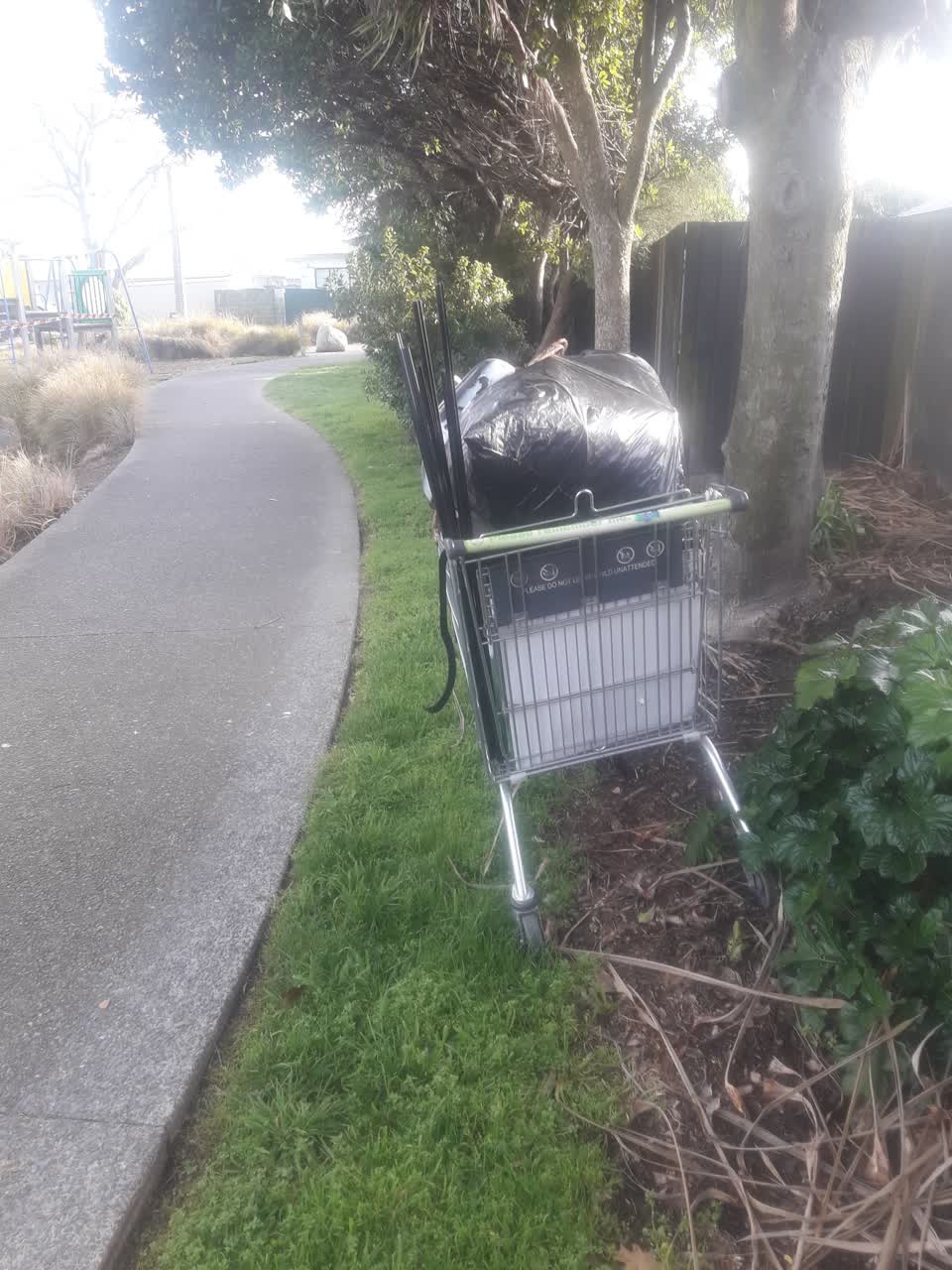 The photograph attached to this parks report