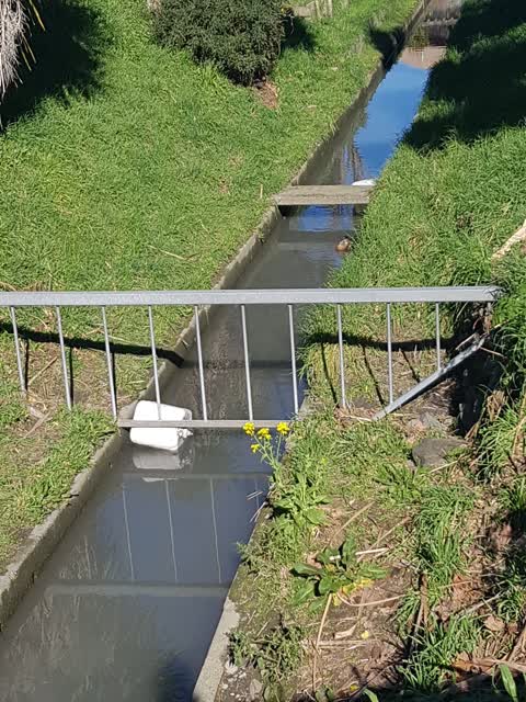 General Request, a report photo