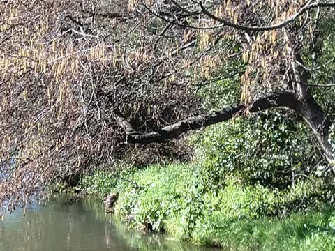 Flooding, a report photo