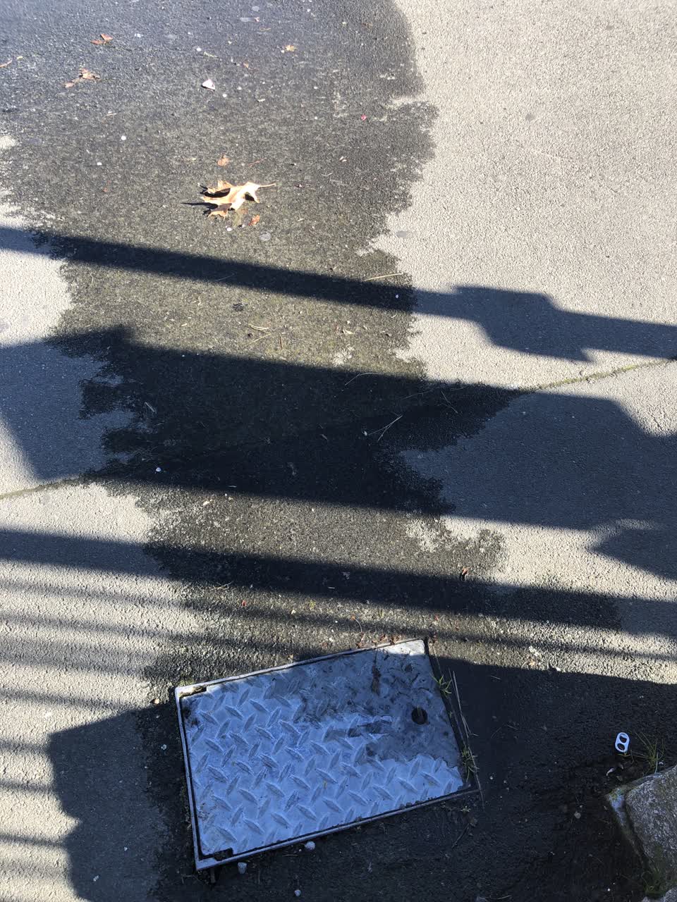 The photograph attached to this water supply report
