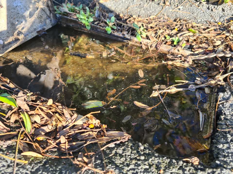 The photograph attached to this water leak report