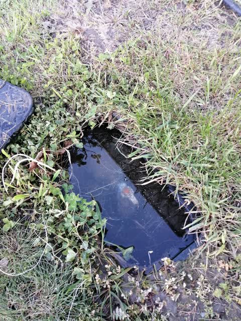 Water Leak, a report photo