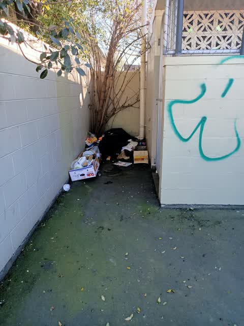Rubbish/Recycling, a report photo