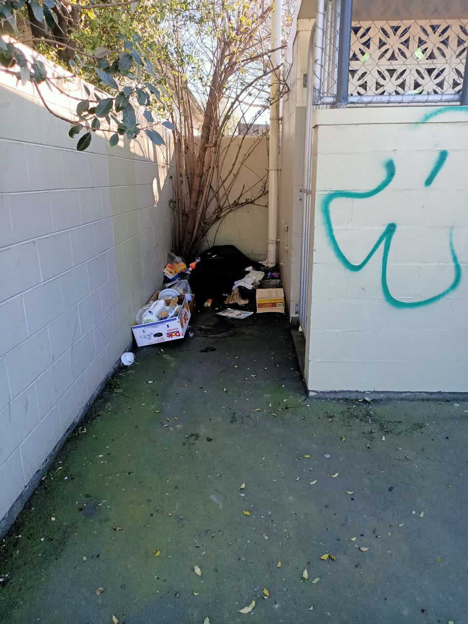 The photograph attached to this rubbish/recycling report