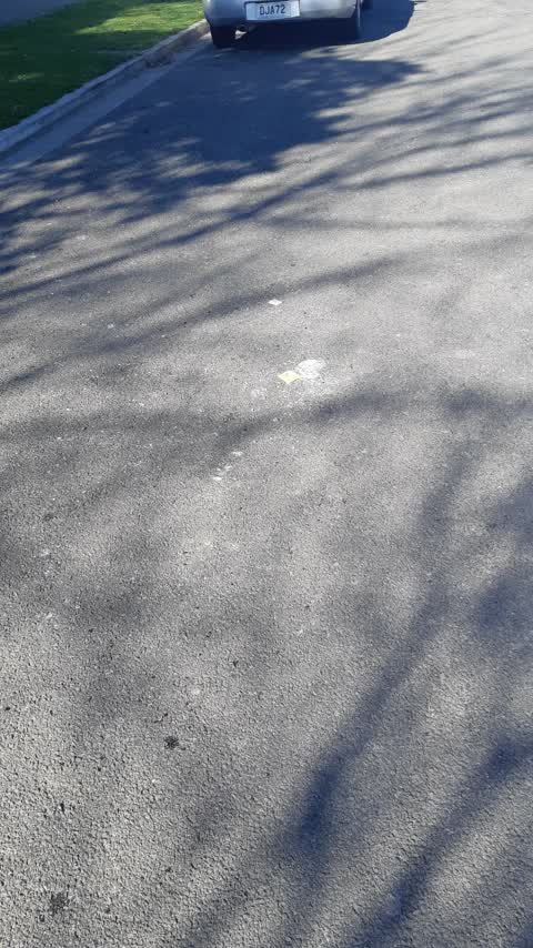 Roading/Streets, a report photo