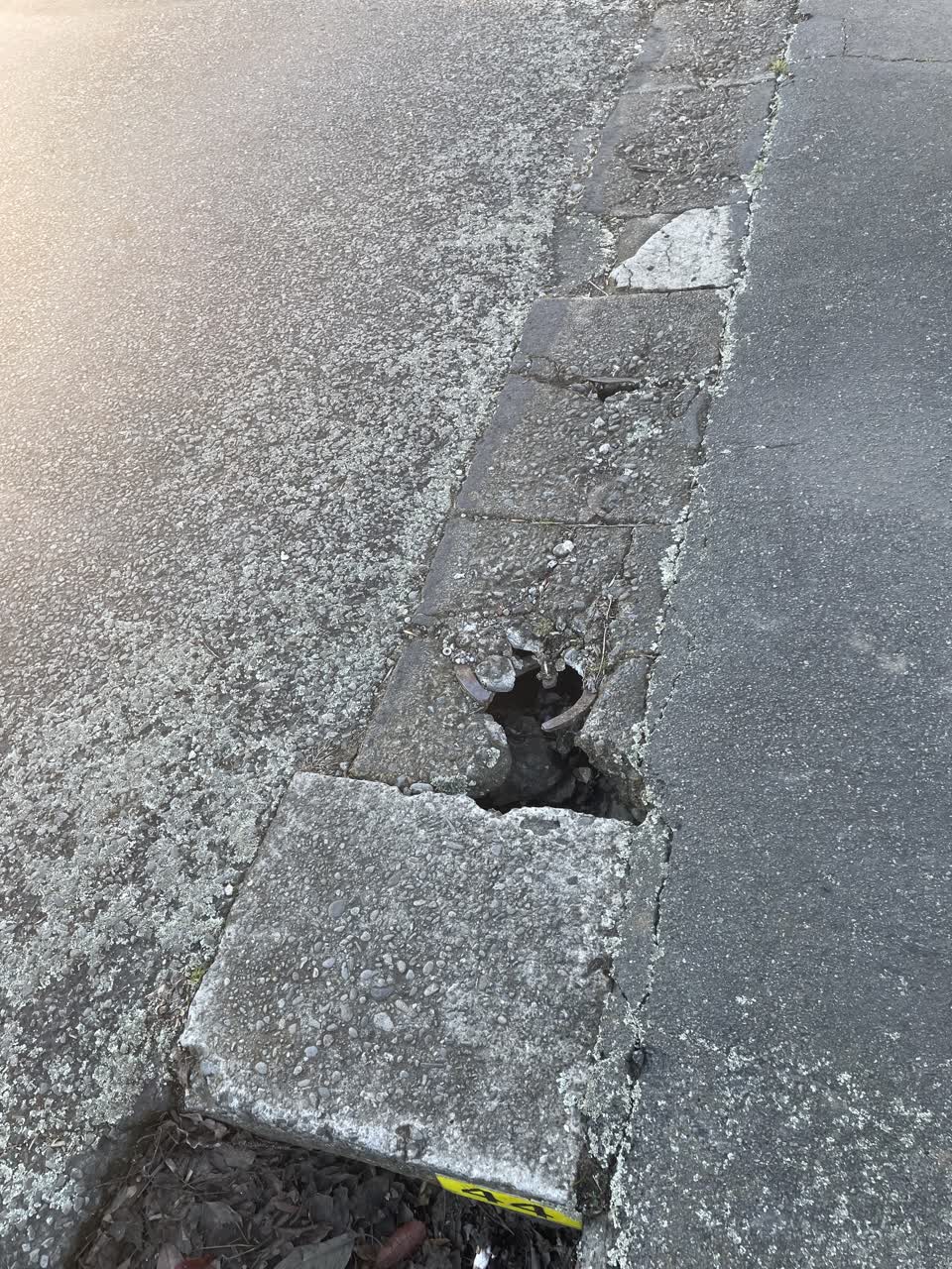 The photograph attached to this roading/streets report