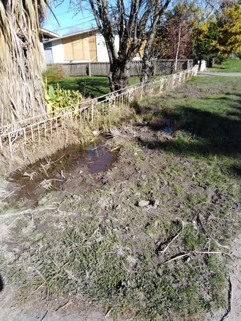 Water Leak, a report photo