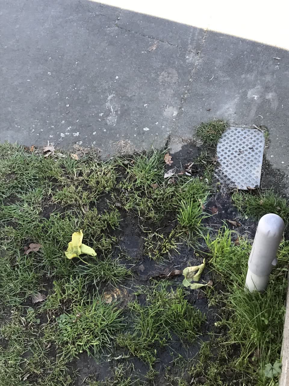 The photograph attached to this water leak report