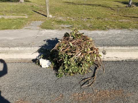Rubbish/Recycling, a report photo
