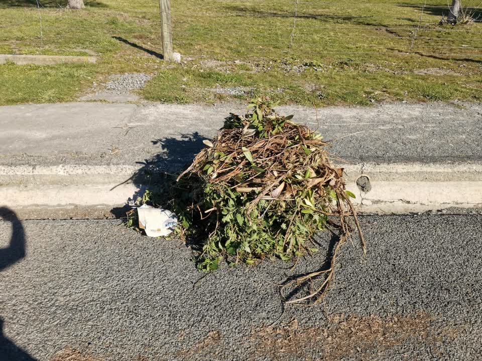 The photograph attached to this rubbish/recycling report