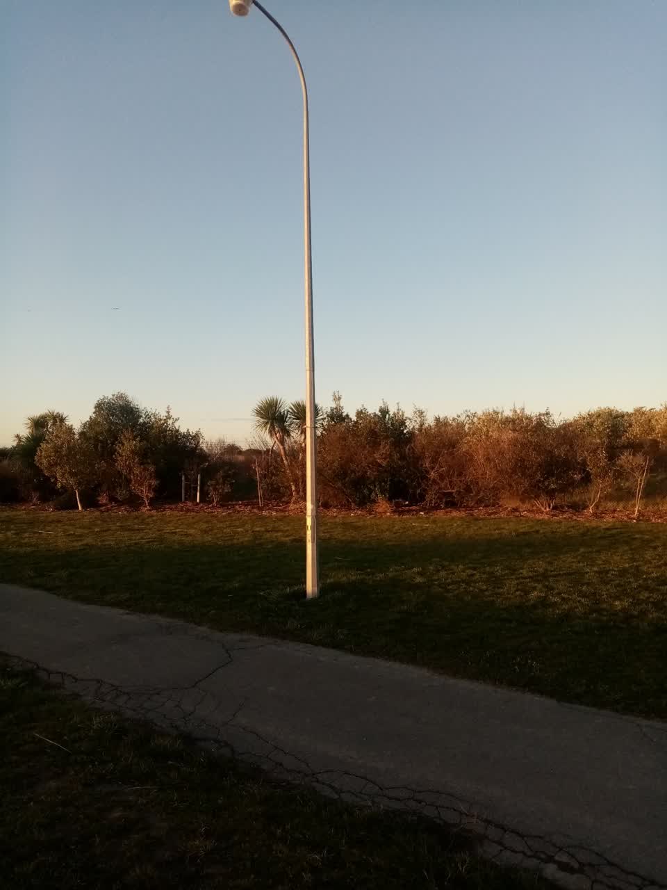 The photograph attached to this parks report