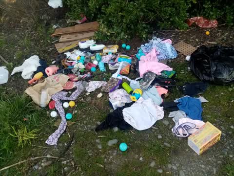 Rubbish/Recycling, a report photo