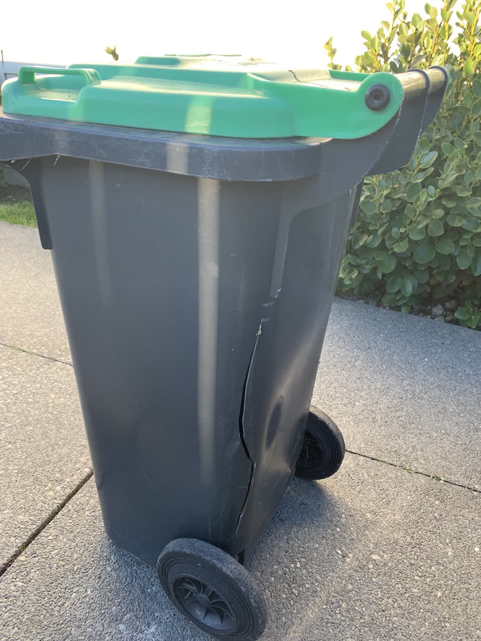 The photograph attached to this rubbish/recycling report