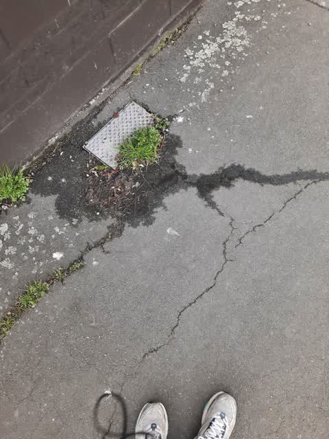 Water Leak, a report photo