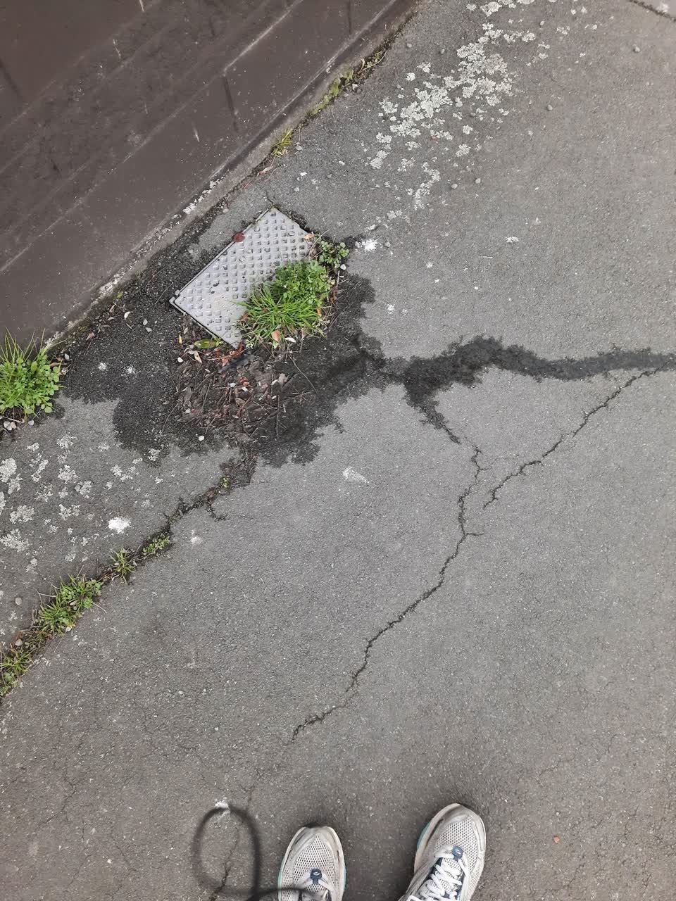 The photograph attached to this water leak report