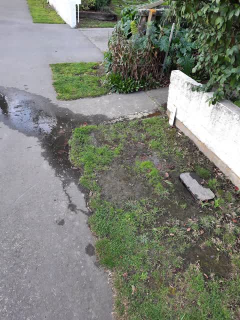 Water Leak, a report photo