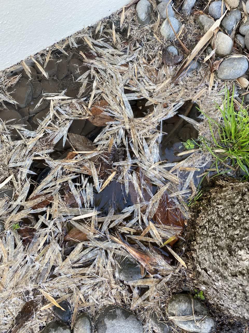 The photograph attached to this water leak report