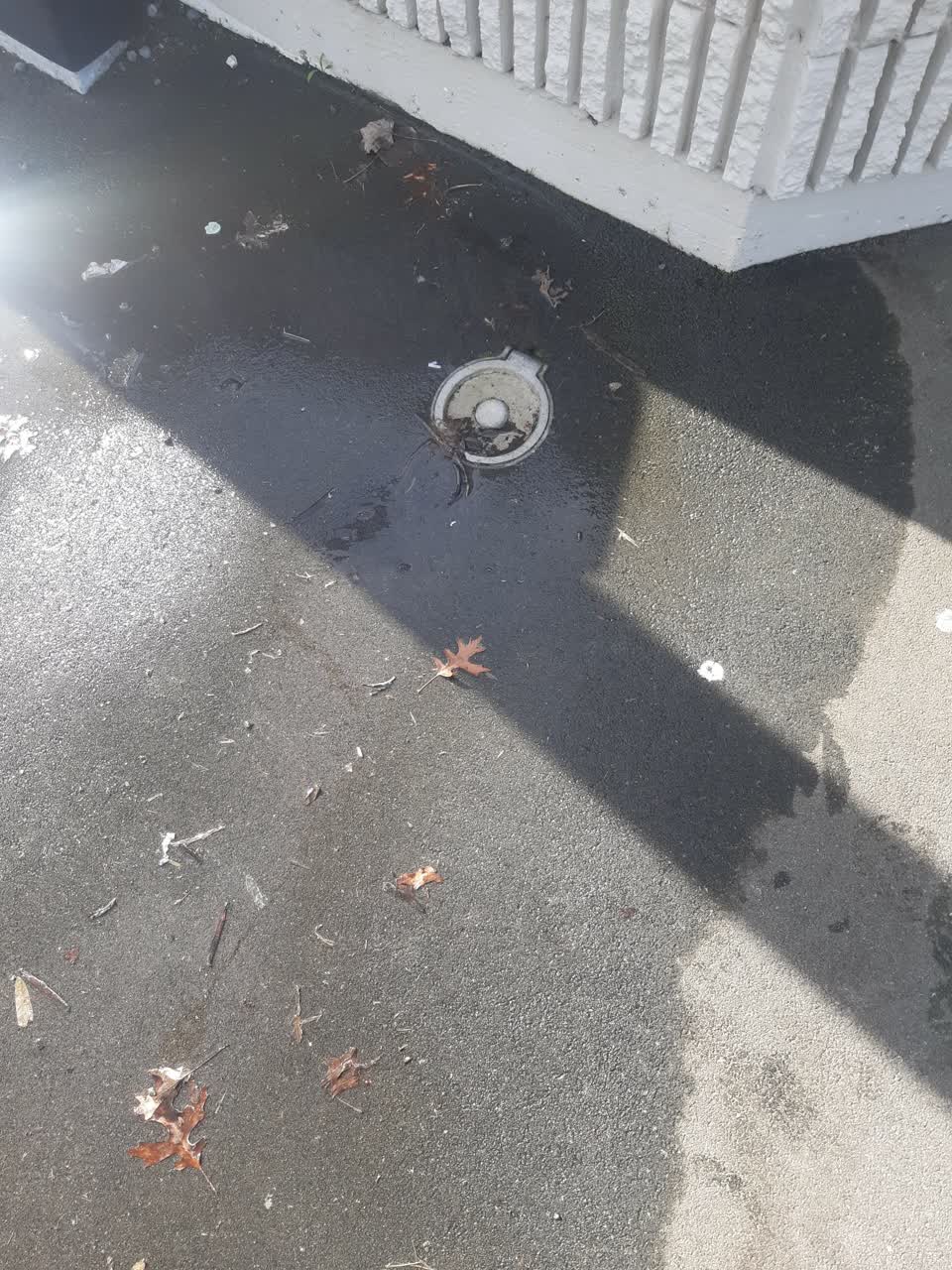 The photograph attached to this water leak report