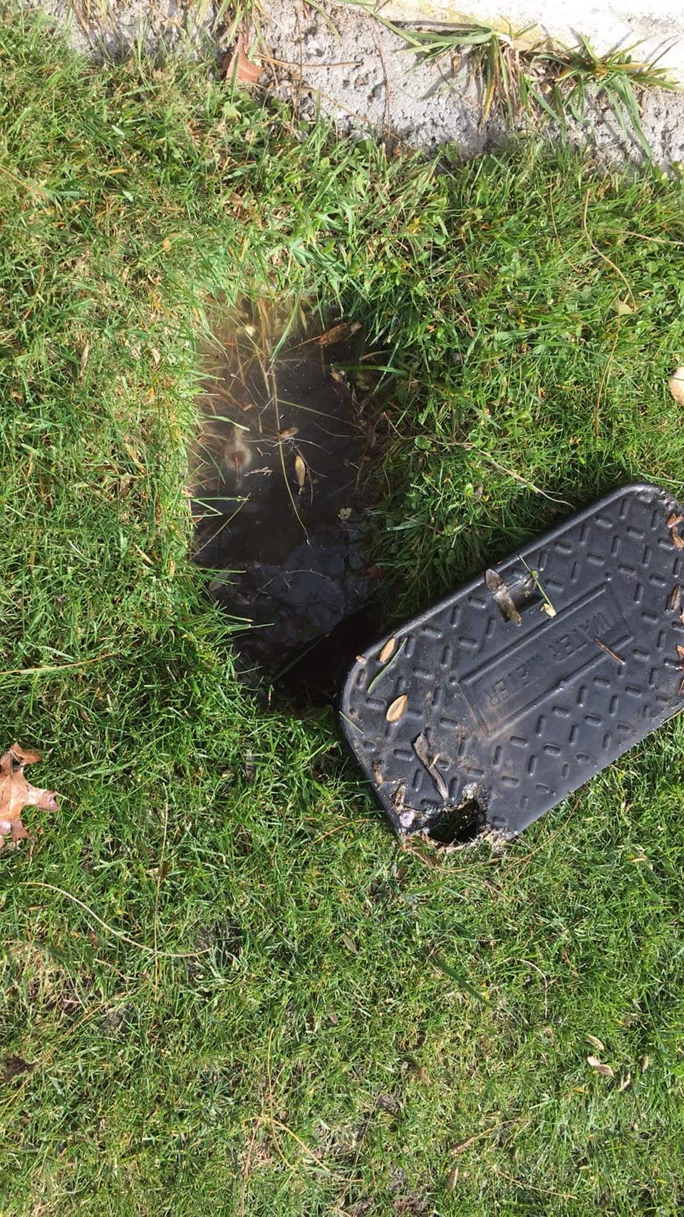 The photograph attached to this water leak report