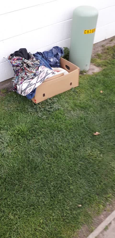 Rubbish/Recycling, a report photo