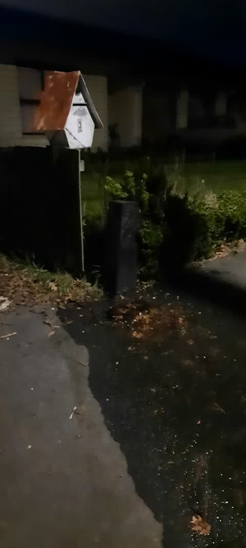 Water Leak, a report photo