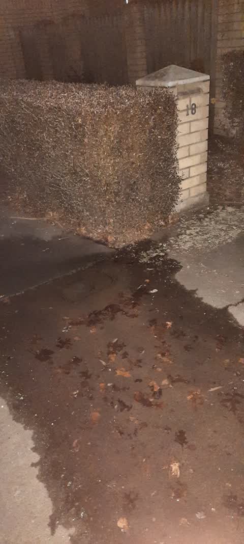 Water Leak, a report photo