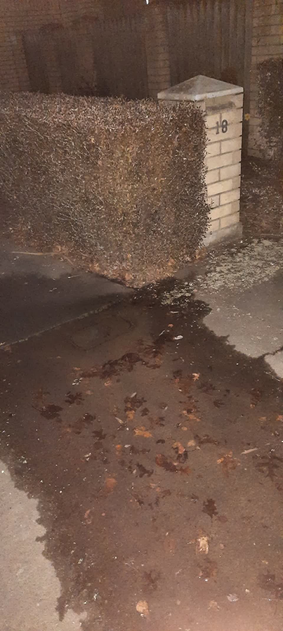 The photograph attached to this water leak report