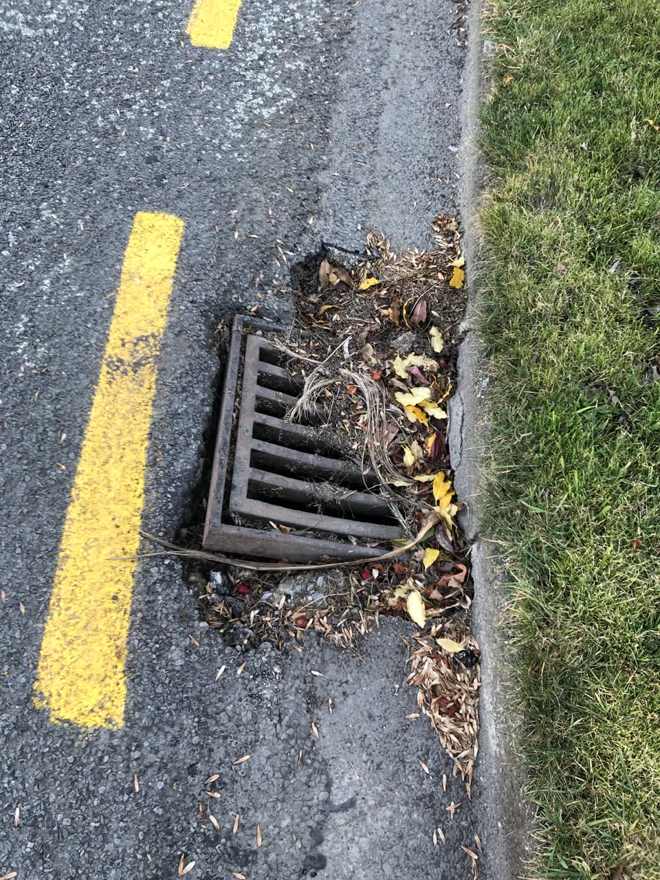 The photograph attached to this sewer - general report