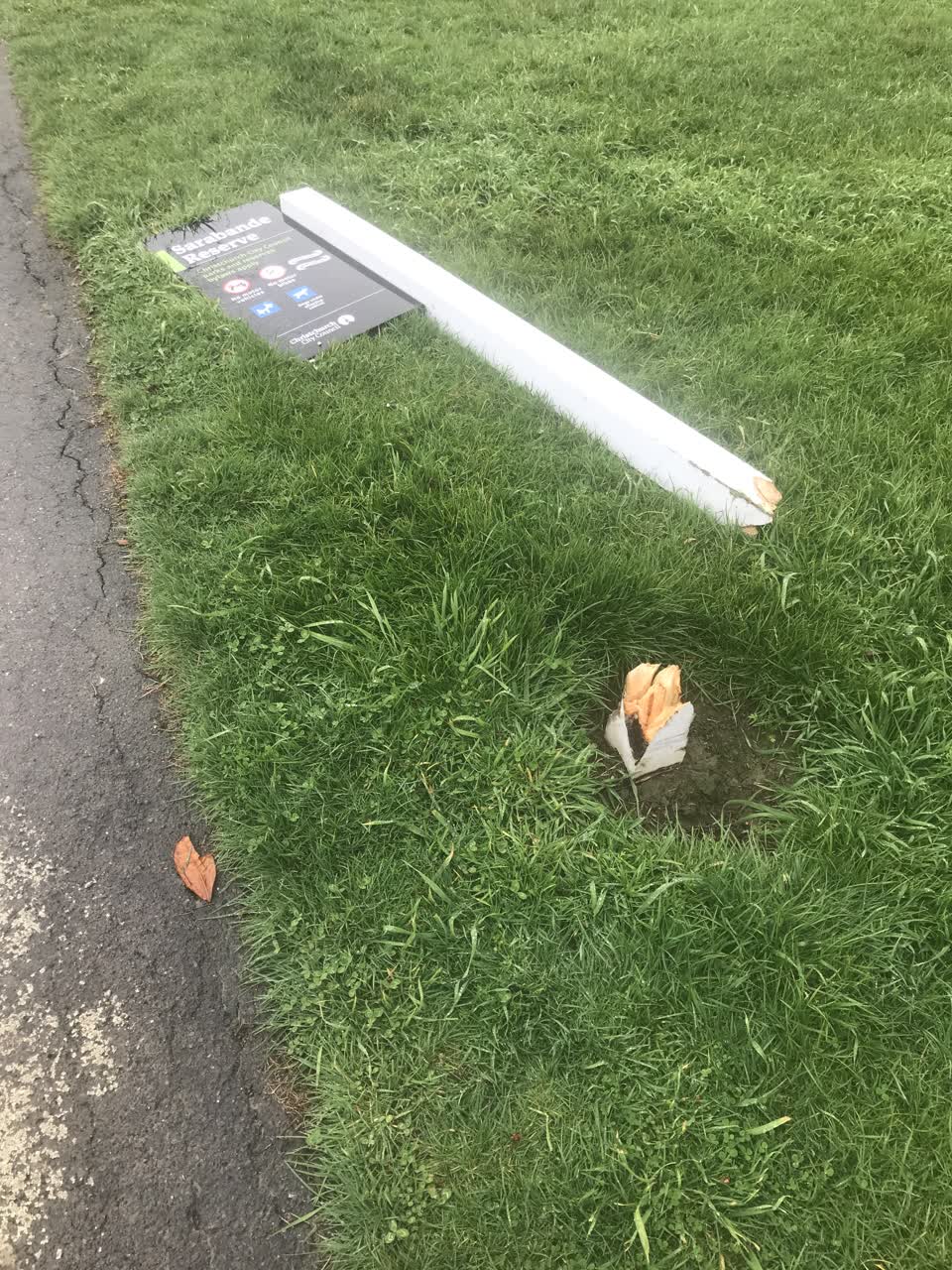 The photograph attached to this parks report